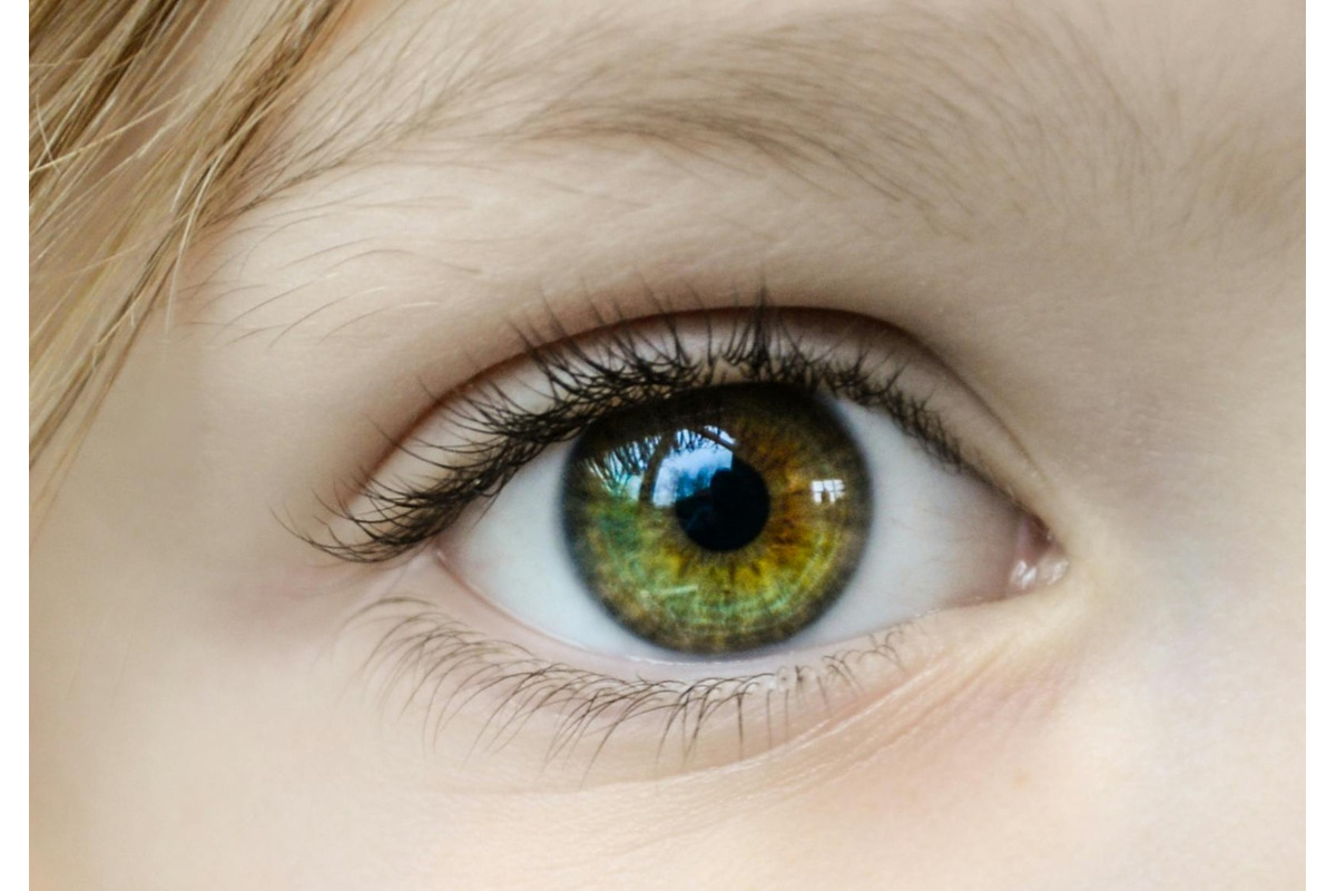 FOTO: Obyvatelia Trenčína si môžu dať tento týždeň zadarmo premerať vnútroočný tlak , foto 1