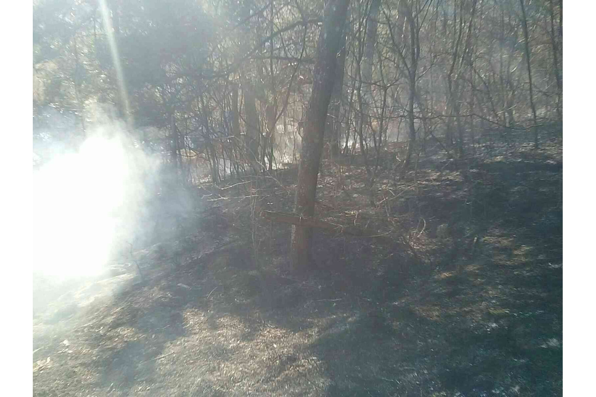 FOTO: Požiar pri Považskej Bystrici ohrozoval aj rodinné domy, hasiči zasahovali vo veľkom, foto 1