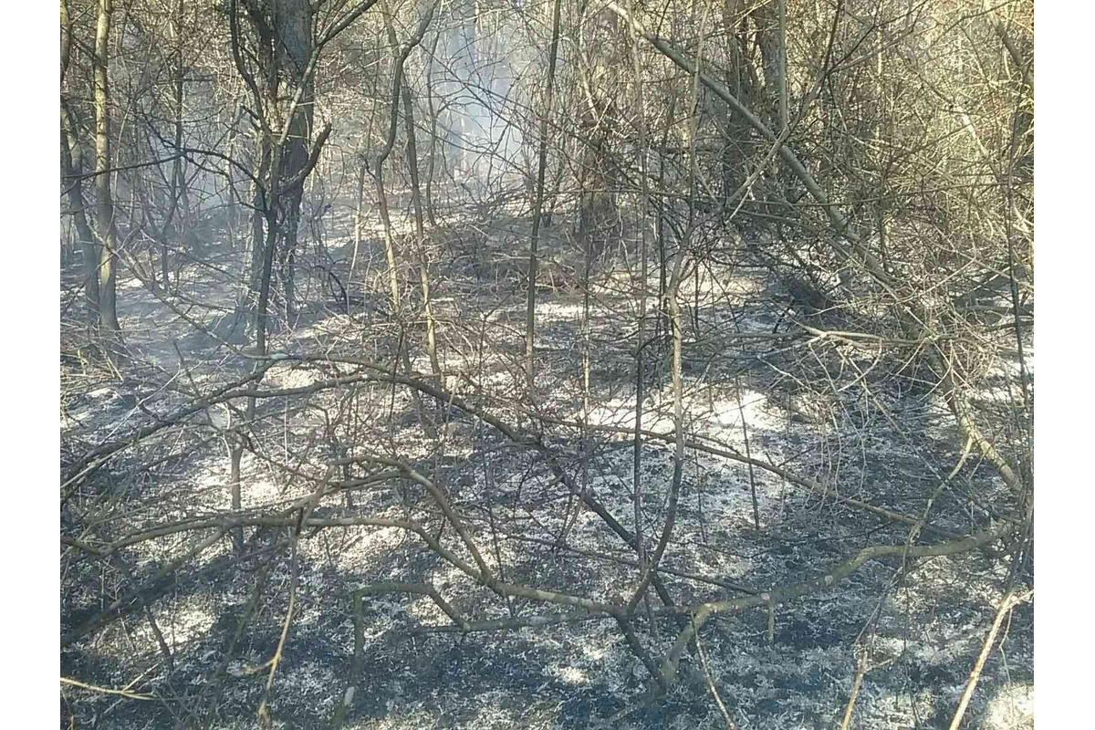 FOTO: Požiar pri Považskej Bystrici ohrozoval aj rodinné domy, hasiči zasahovali vo veľkom, foto 3