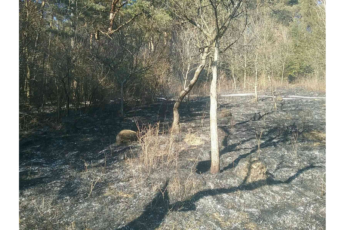FOTO: Požiar pri Považskej Bystrici ohrozoval aj rodinné domy, hasiči zasahovali vo veľkom, foto 6