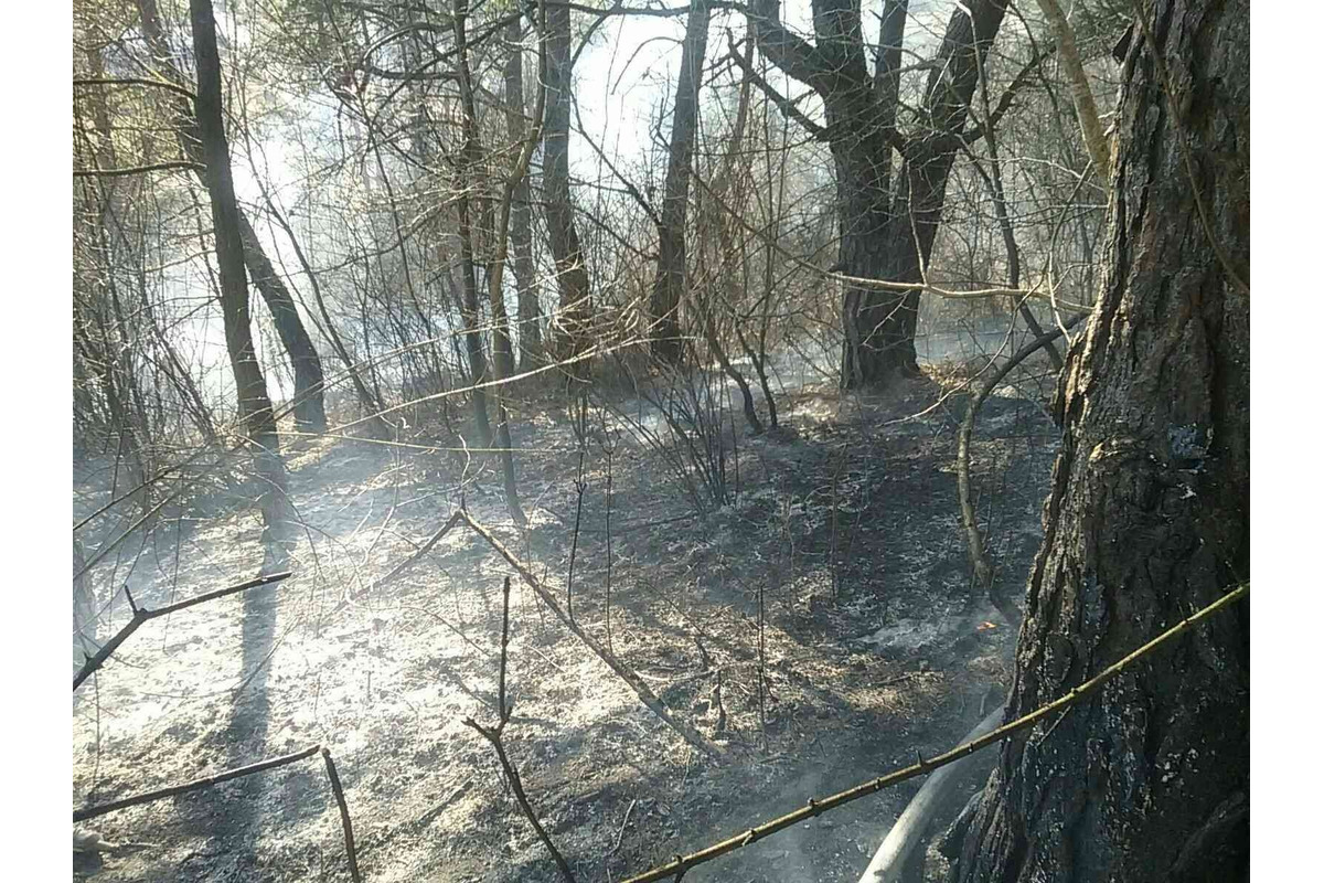 FOTO: Požiar pri Považskej Bystrici ohrozoval aj rodinné domy, hasiči zasahovali vo veľkom, foto 9