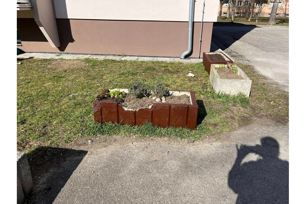 FOTO: Obyvateľka Trenčína kúpila a posadila kvety, ktoré niekto do rána ukradol , foto 3