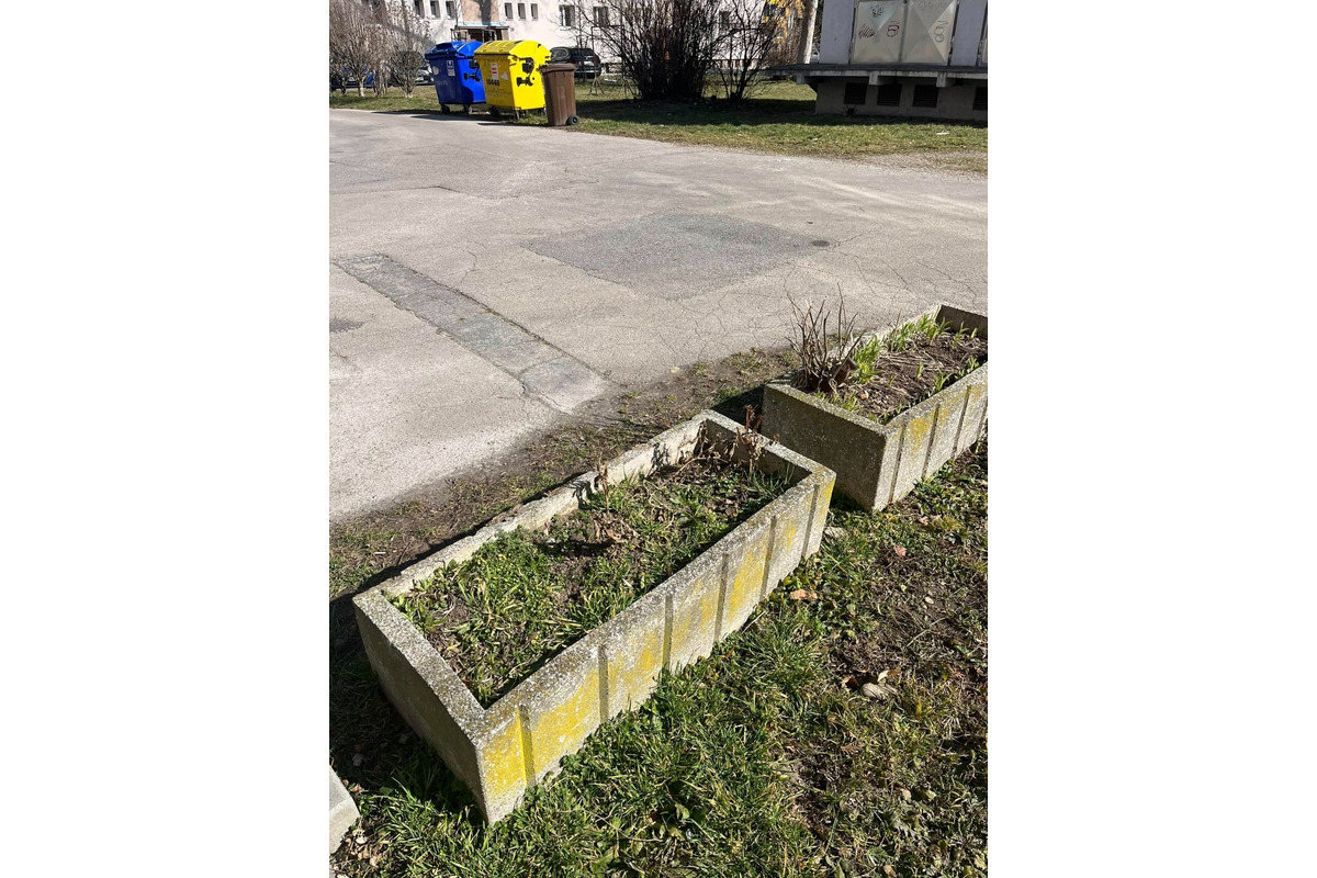 FOTO: Obyvateľka Trenčína kúpila a posadila kvety, ktoré niekto do rána ukradol , foto 4