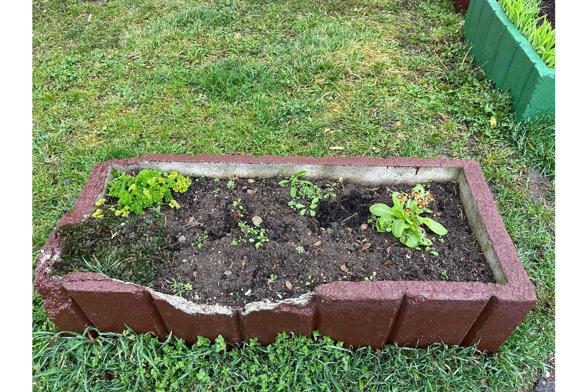 FOTO: Obyvateľka Trenčína kúpila a posadila kvety, ktoré niekto do rána ukradol , foto 5