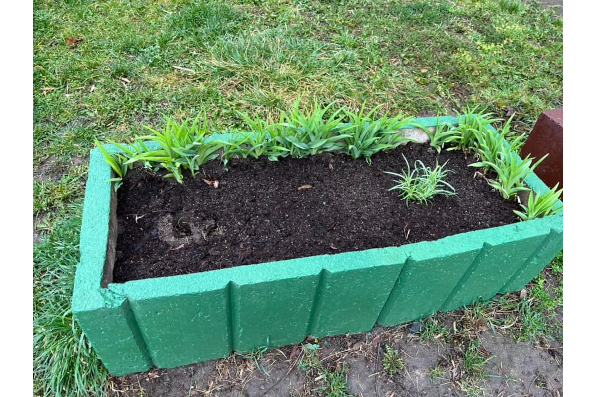 FOTO: Obyvateľka Trenčína kúpila a posadila kvety, ktoré niekto do rána ukradol , foto 6