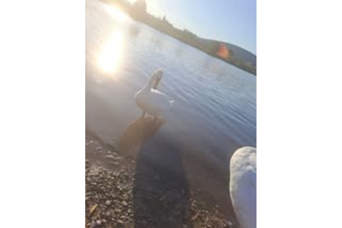 FOTO: Trenčania môžu posielať fotografie z mesta, maliarka chce namaľovať album , foto 2