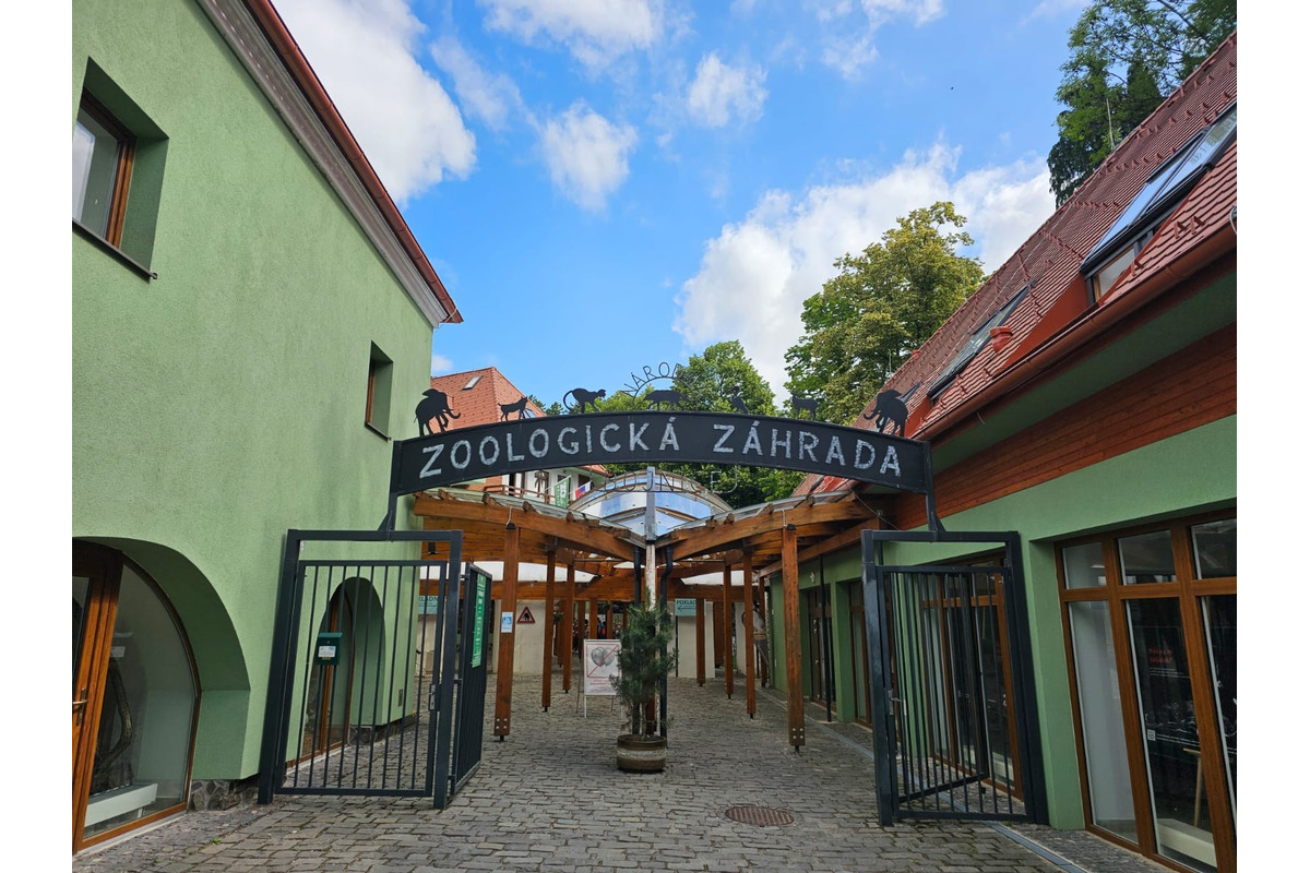 FOTO: Infekčné ochorenie ohrozuje aj vzácne druhy živočíchov v Bojnickej zoo, foto 5