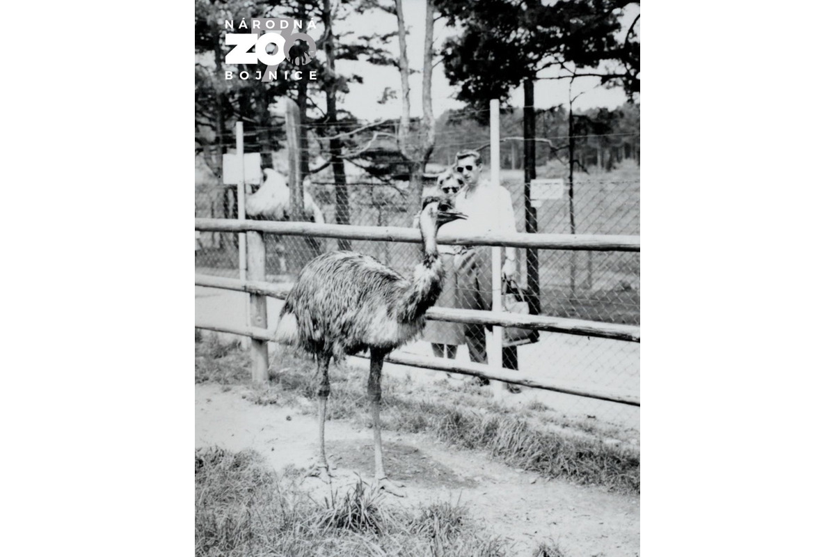 FOTO: Bojnická zoo dnes oslavuje 70 rokov, ktoré zachytávajú historické fotografie , foto 1