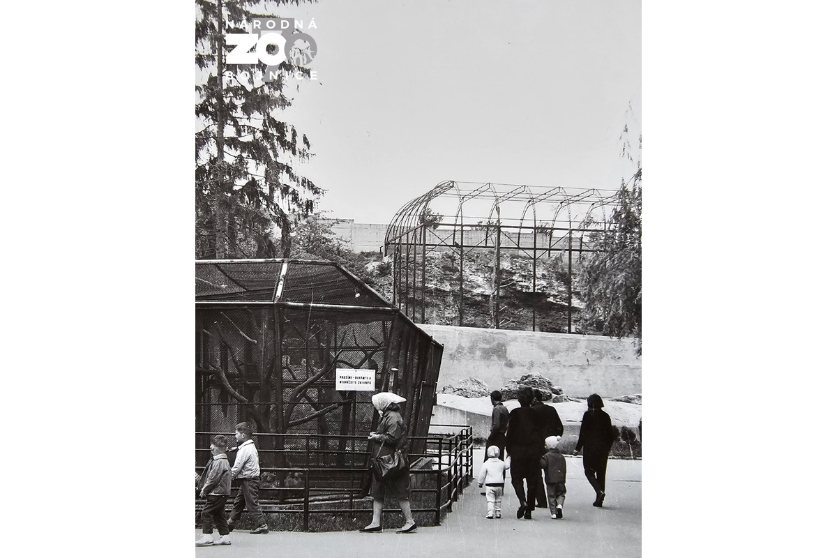 FOTO: Bojnická zoo dnes oslavuje 70 rokov, ktoré zachytávajú historické fotografie , foto 4