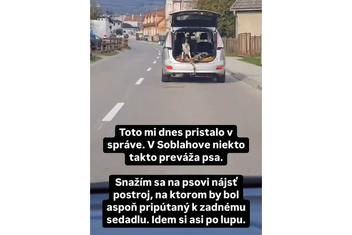 FOTO: Obyvatelia pri Trenčíne riešia bezpečnosť prevozu psa v otvorenom kufri auta , foto 1