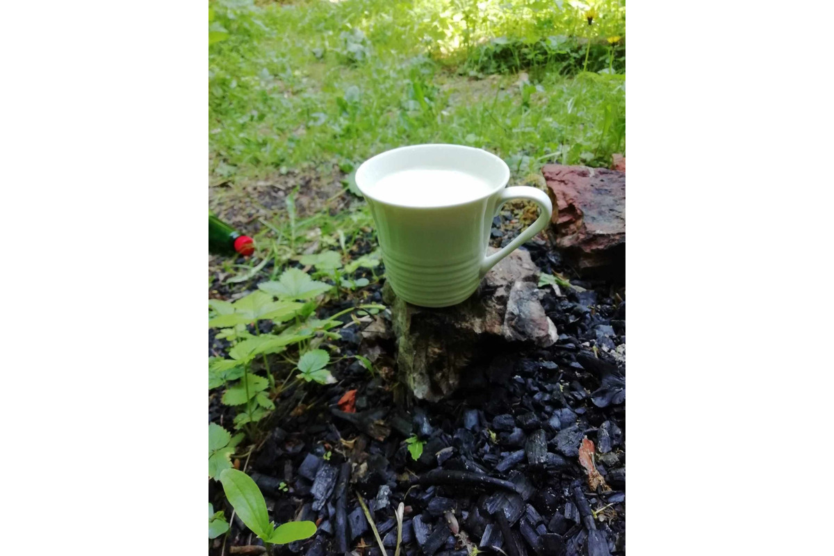 FOTO: Trenčania na prechádzke našli už kadečo. Nechýbal pohár, hodinky či vodovodná batéria, foto 2