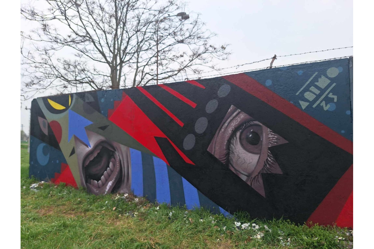 FOTO: Graffiti maľba v Partizánskom sa miestnym nepáči, chcú radšej prírodu, foto 1