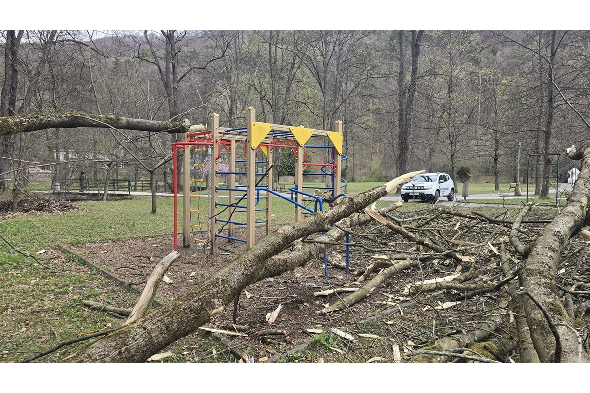 FOTO: Obyvatelia Trenčianskych Teplíc majú pre polámané stromy hlavy v smútku , foto 1