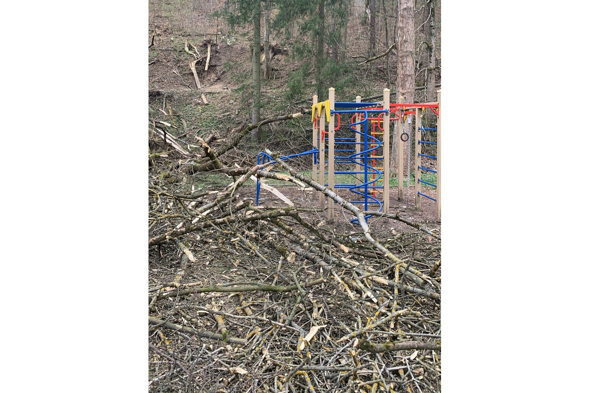 FOTO: Obyvatelia Trenčianskych Teplíc majú pre polámané stromy hlavy v smútku , foto 4