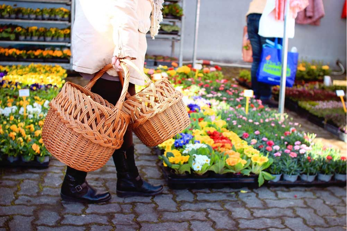 FOTO: Veľtrh Záhradkár prinesie Trenčanom dopravné obmedzenia , foto 5