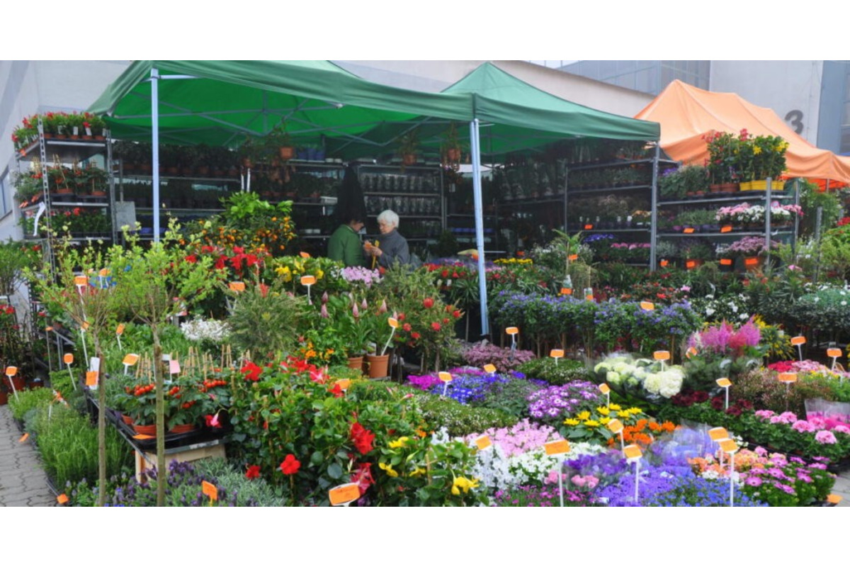 FOTO: Veľtrh Záhradkár prinesie Trenčanom dopravné obmedzenia , foto 6