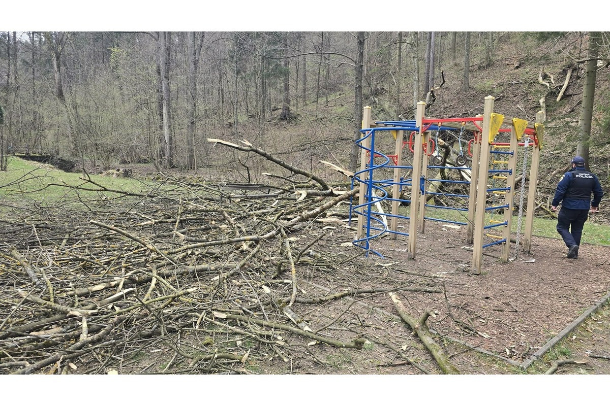 FOTO: Mesto Trenčianske Teplice začne s likvidáciou poškodených stromov , foto 3