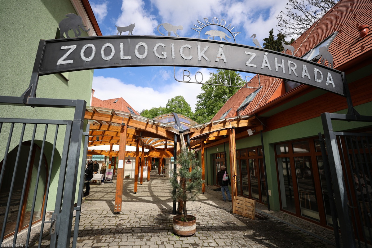 FOTO: Národná Zoo Bojnice prichýlila mláďatá medveďa , foto 3
