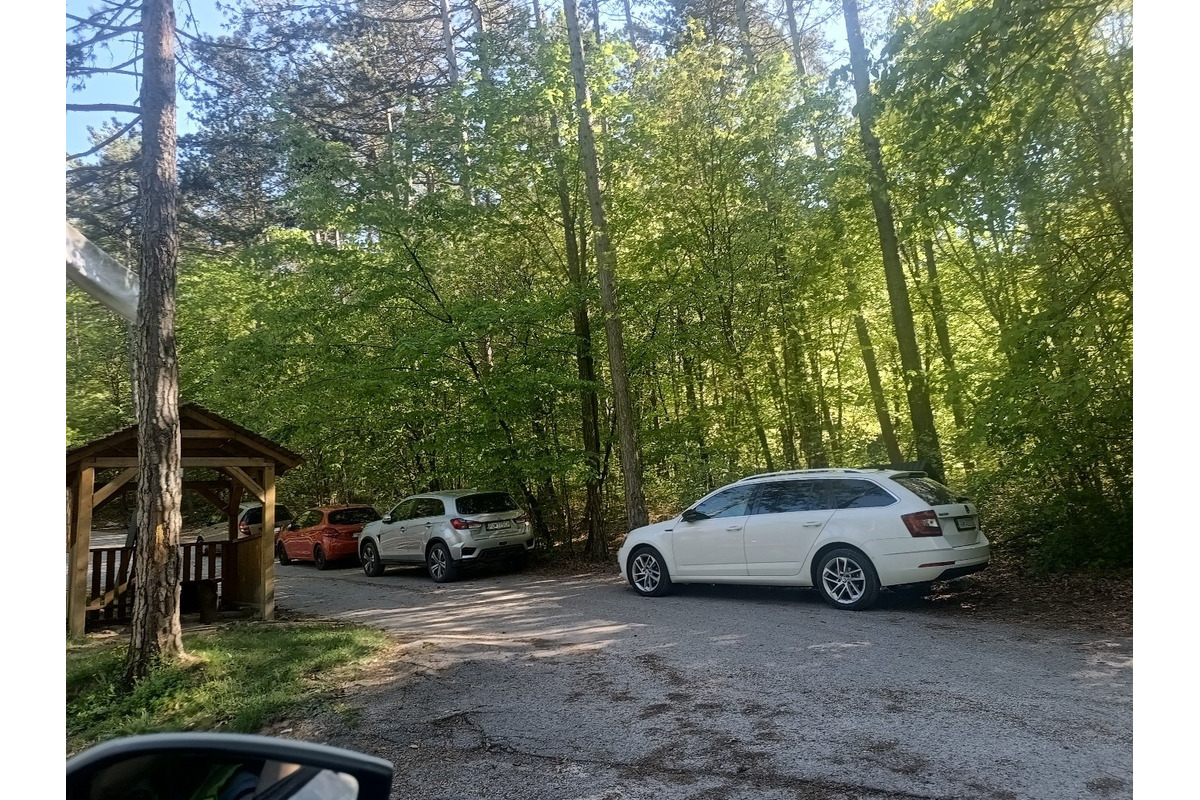 FOTO: Návštevníci Breziny v Trenčíne nerešpektujú vyznačené parkovanie, mestská polícia bude pokutovať, foto 3