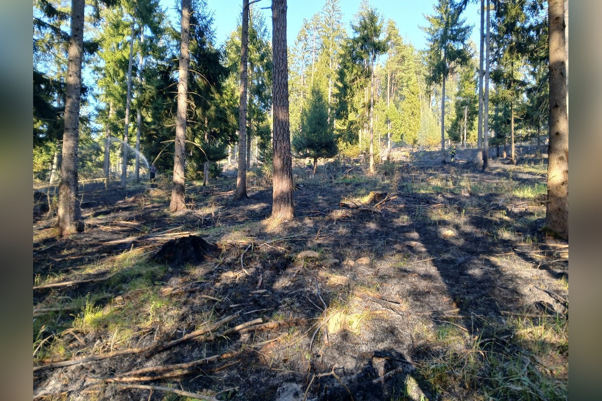 FOTO: Hasiči zlikvidovali požiar lesného porastu v Domaniži pri Považskej Bystrici, pomáhali aj dobrovoľní hasiči, foto 3