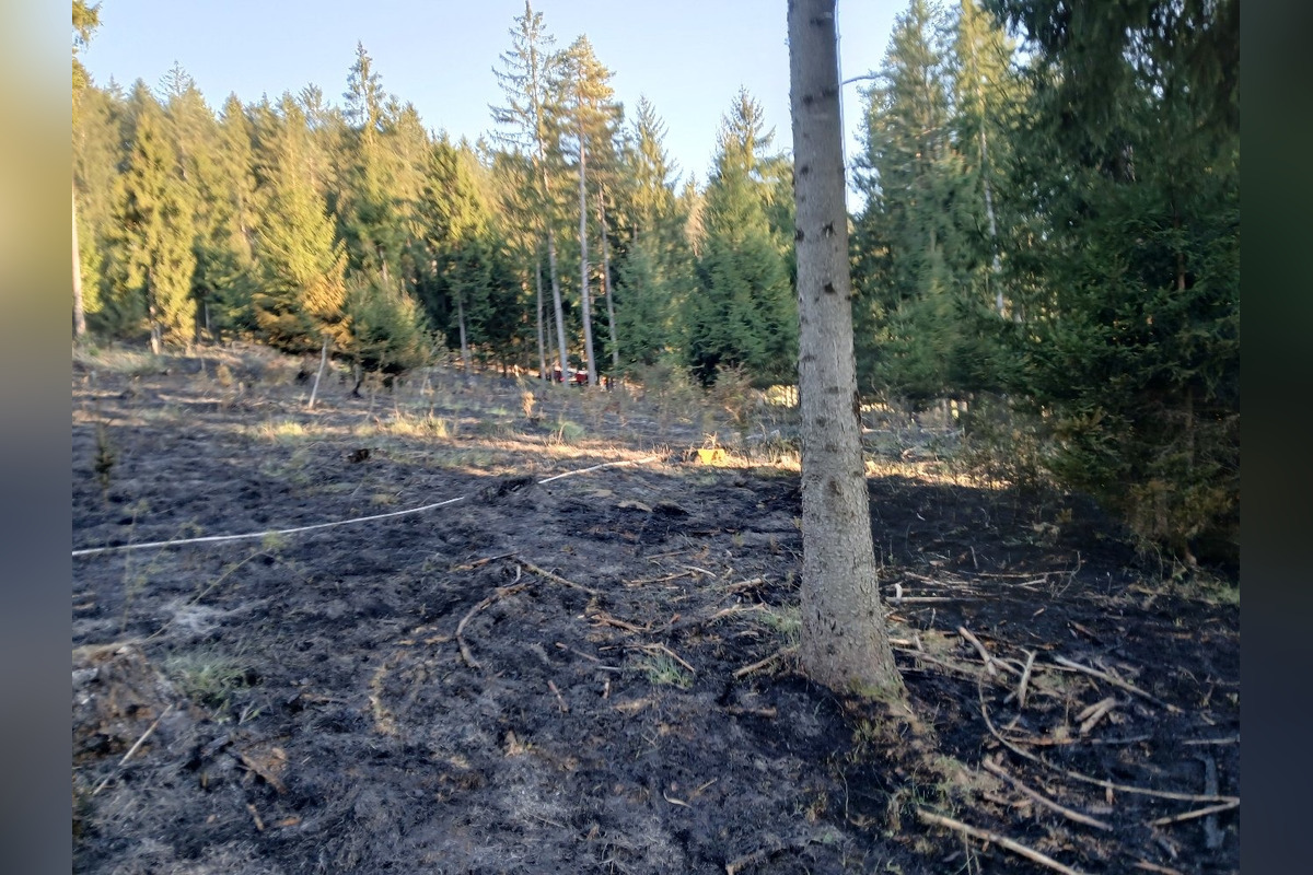 FOTO: Hasiči zlikvidovali požiar lesného porastu v Domaniži pri Považskej Bystrici, pomáhali aj dobrovoľní hasiči, foto 4