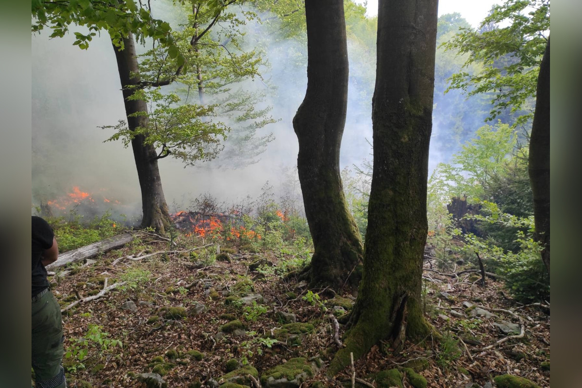 FOTO: Rozsiahly lesný požiar medzi Papradnom a Štiavnikom, zasahovalo vyše 50 hasičov, foto 1
