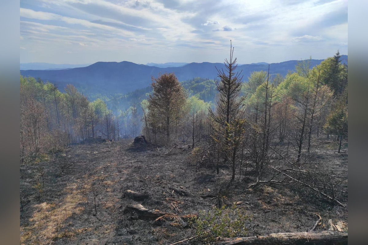 FOTO: Rozsiahly lesný požiar medzi Papradnom a Štiavnikom, zasahovalo vyše 50 hasičov, foto 2