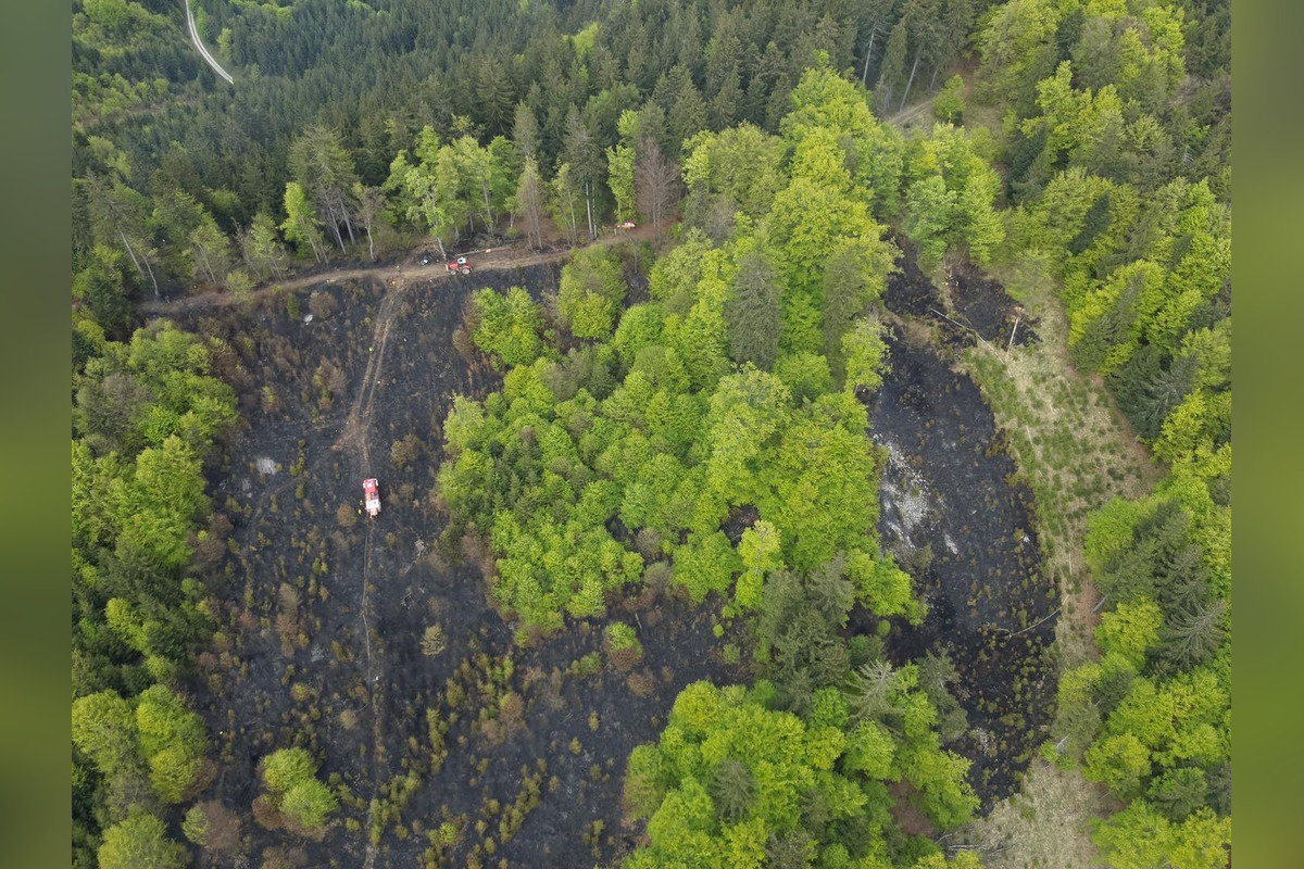 FOTO: Rozsiahly lesný požiar medzi Papradnom a Štiavnikom, zasahovalo vyše 50 hasičov, foto 3