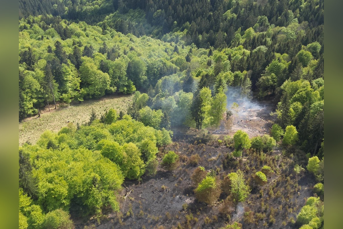 FOTO: Rozsiahly lesný požiar medzi Papradnom a Štiavnikom, zasahovalo vyše 50 hasičov, foto 4