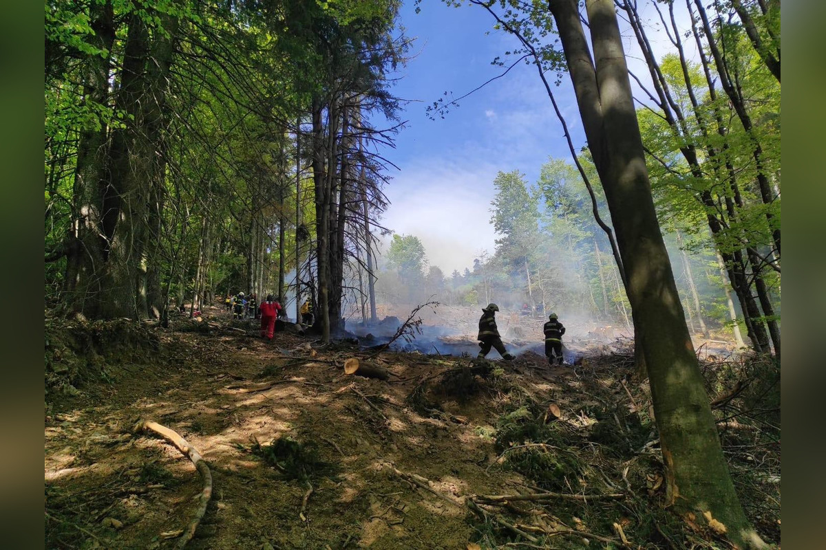FOTO: Rozsiahly lesný požiar medzi Papradnom a Štiavnikom, zasahovalo vyše 50 hasičov, foto 5