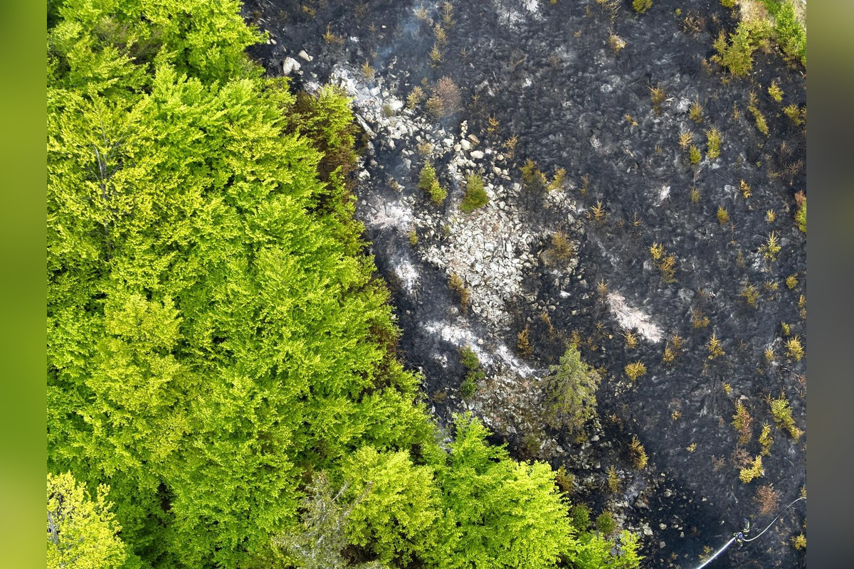 FOTO: Rozsiahly lesný požiar medzi Papradnom a Štiavnikom, zasahovalo vyše 50 hasičov, foto 10