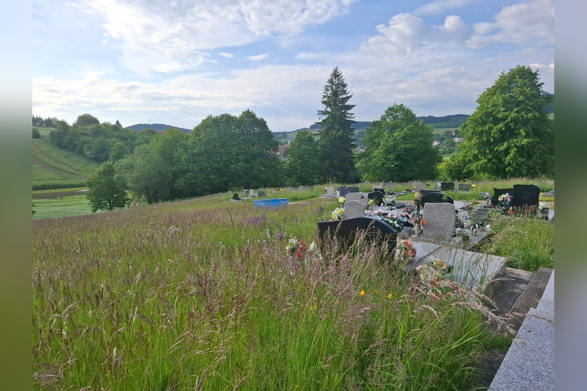 FOTO: Myjavský cintorín zarastá trávou, obyvatelia sa sťažujú na zanedbanú údržbu, foto 2
