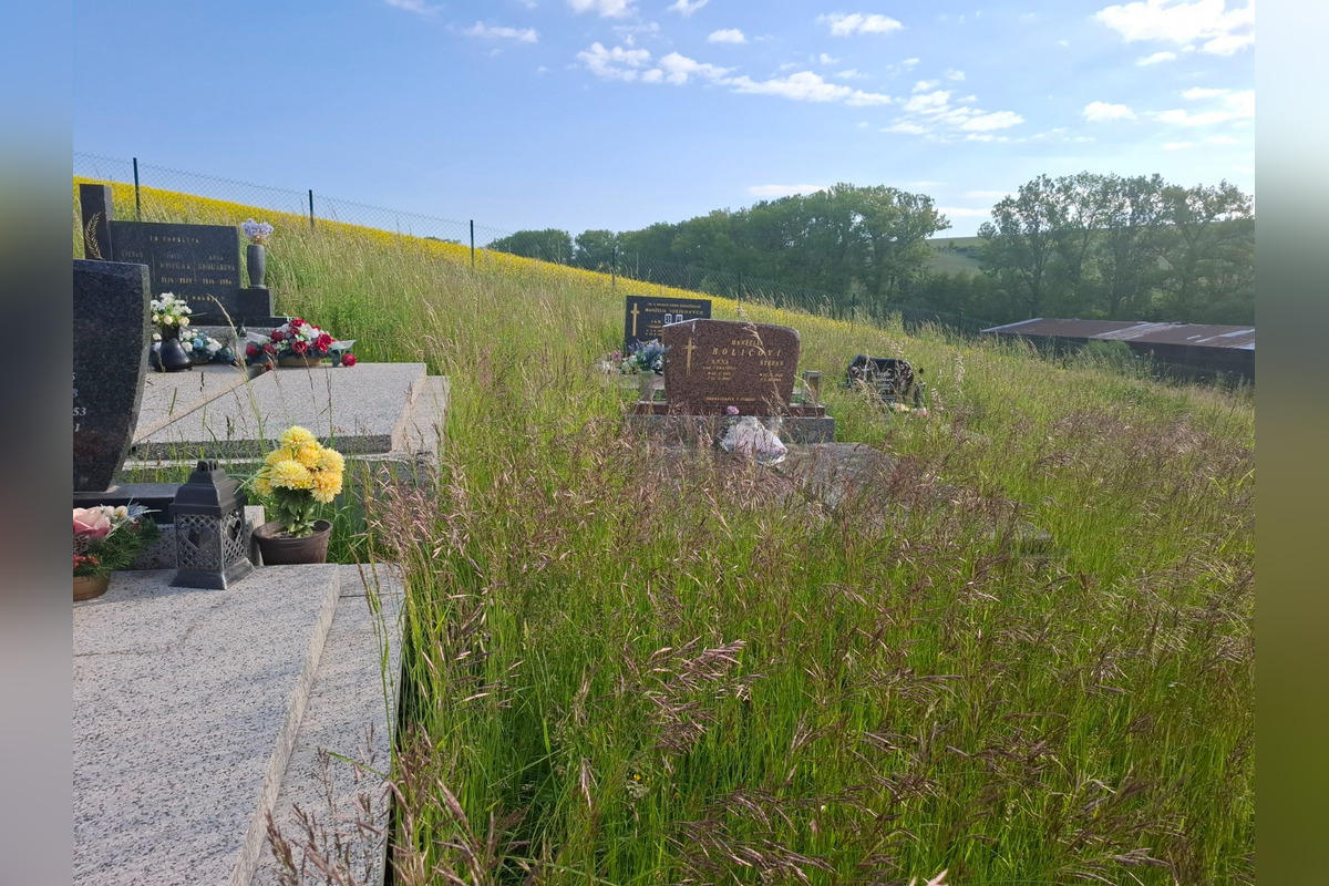 FOTO: Myjavský cintorín zarastá trávou, obyvatelia sa sťažujú na zanedbanú údržbu, foto 3