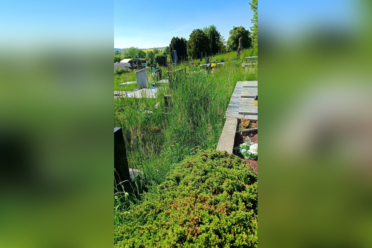 FOTO: Myjavský cintorín zarastá trávou, obyvatelia sa sťažujú na zanedbanú údržbu, foto 4