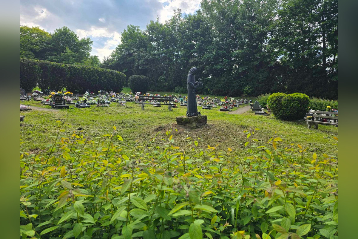 FOTO: Myjavský cintorín zarastá trávou, obyvatelia sa sťažujú na zanedbanú údržbu, foto 6