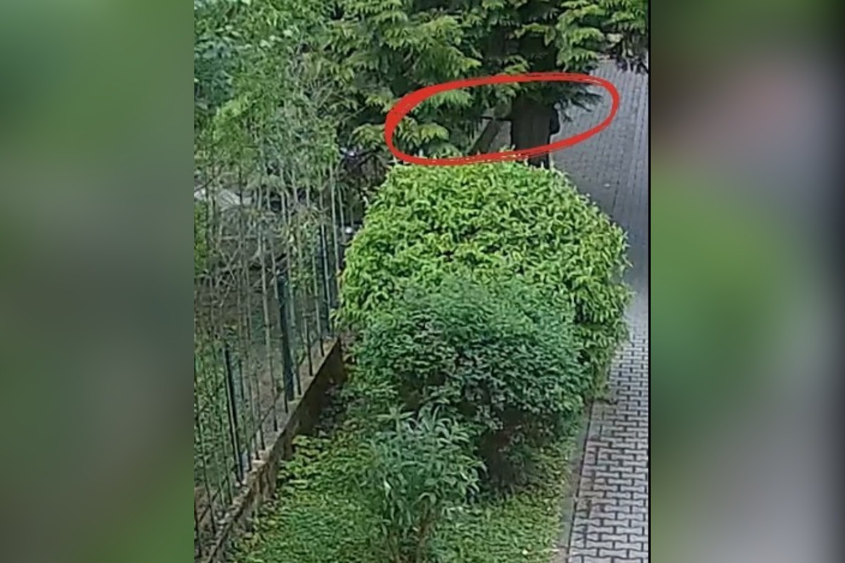 FOTO: Bojnická zoo má nový prírastok, platia však prísnejšie pravidlá, foto 3