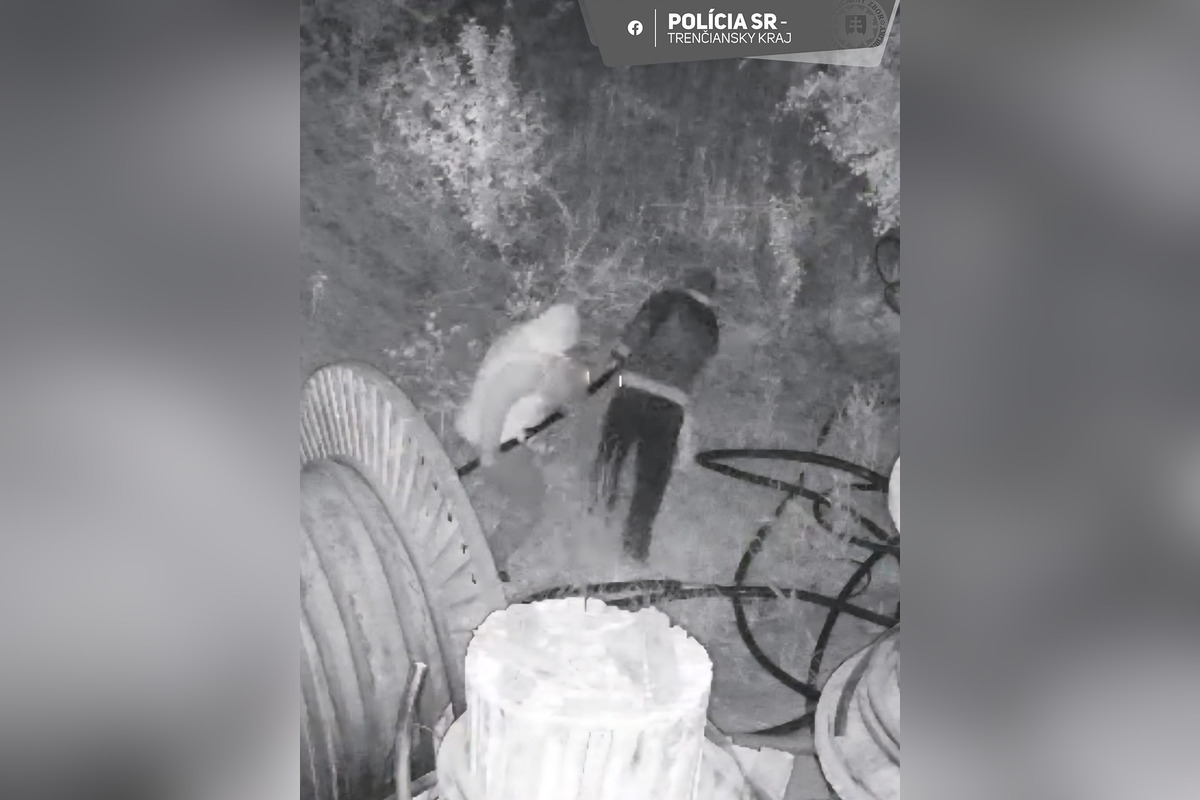 FOTO: Dvaja muži spôsobili firme v Novákoch vysoké škody , foto 2