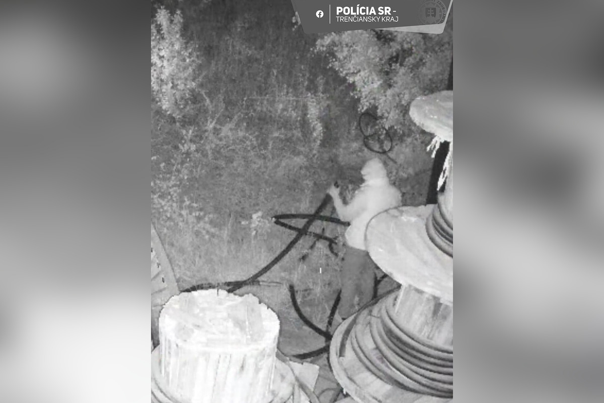 FOTO: Dvaja muži spôsobili firme v Novákoch vysoké škody , foto 4