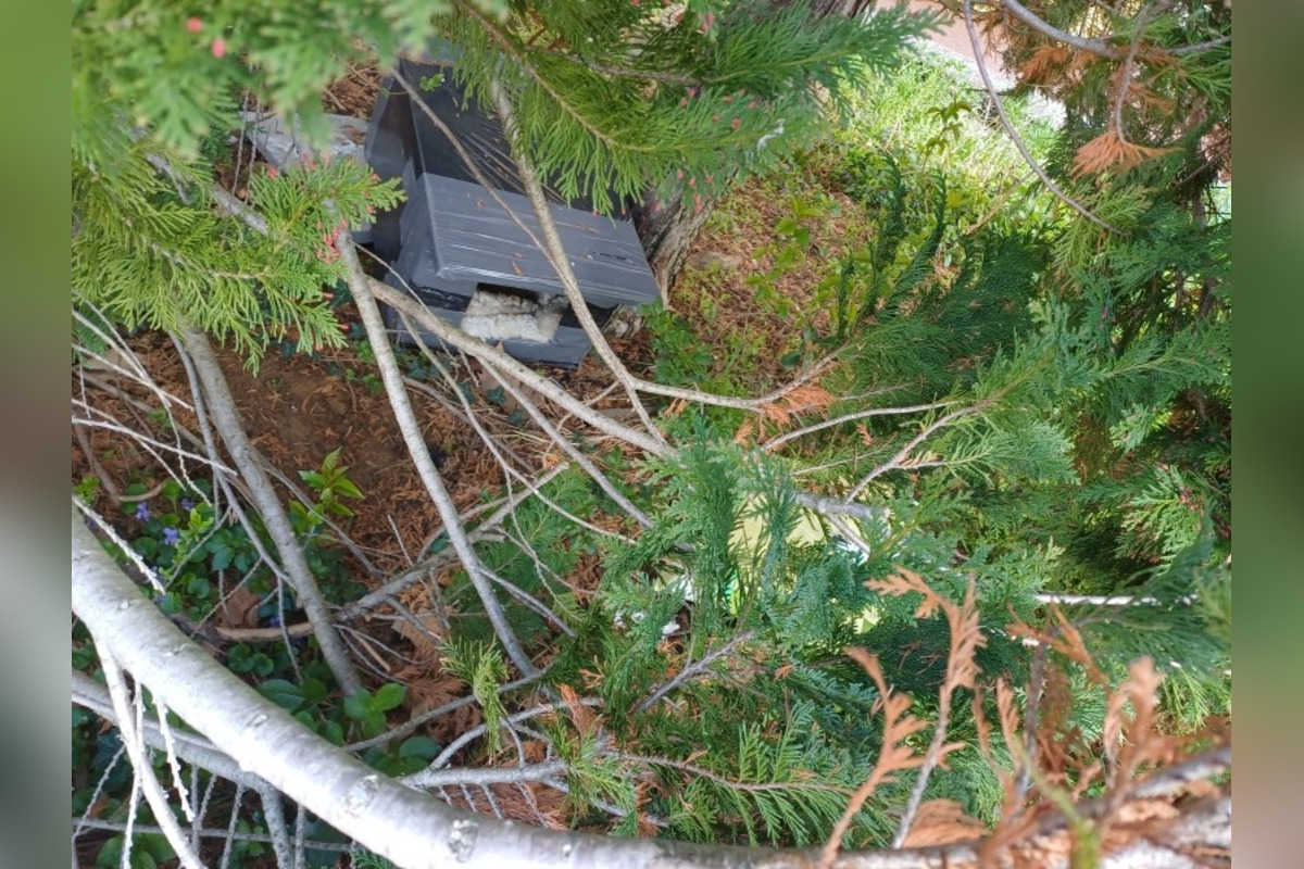 FOTO: Stará Turá bojuje s nelegálnymi kŕmnymi miestami a šírením chorôb, foto 4