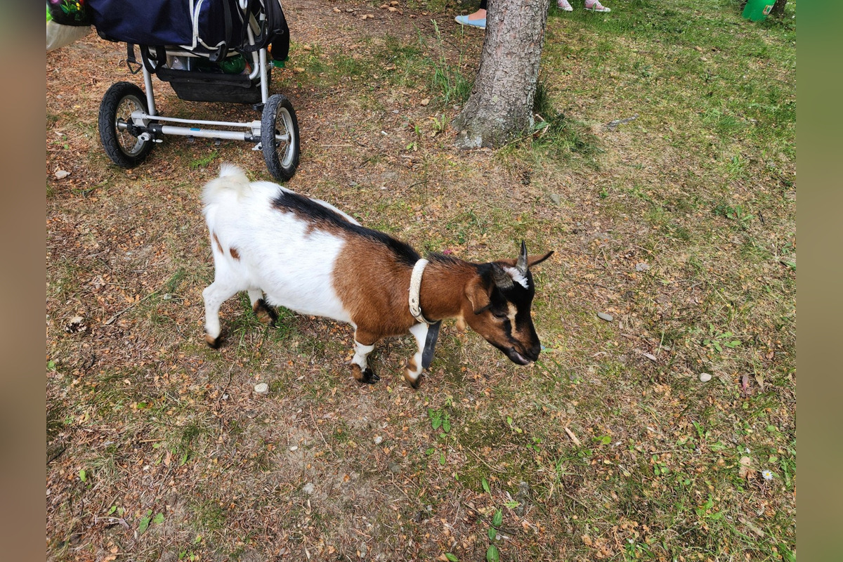 FOTO: Nezabudnuteľný víkend, detské oči žiarili radosťou naprieč regiónmi Trenčianskeho kraja, foto 17