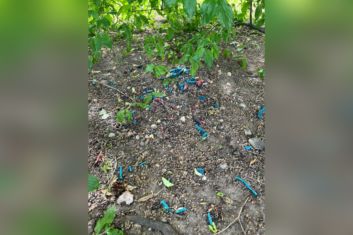 FOTO: V Trenčíne niekto len tak pohodil otravu na hlodavce do kríkov v blízkosti ihriska , foto 1