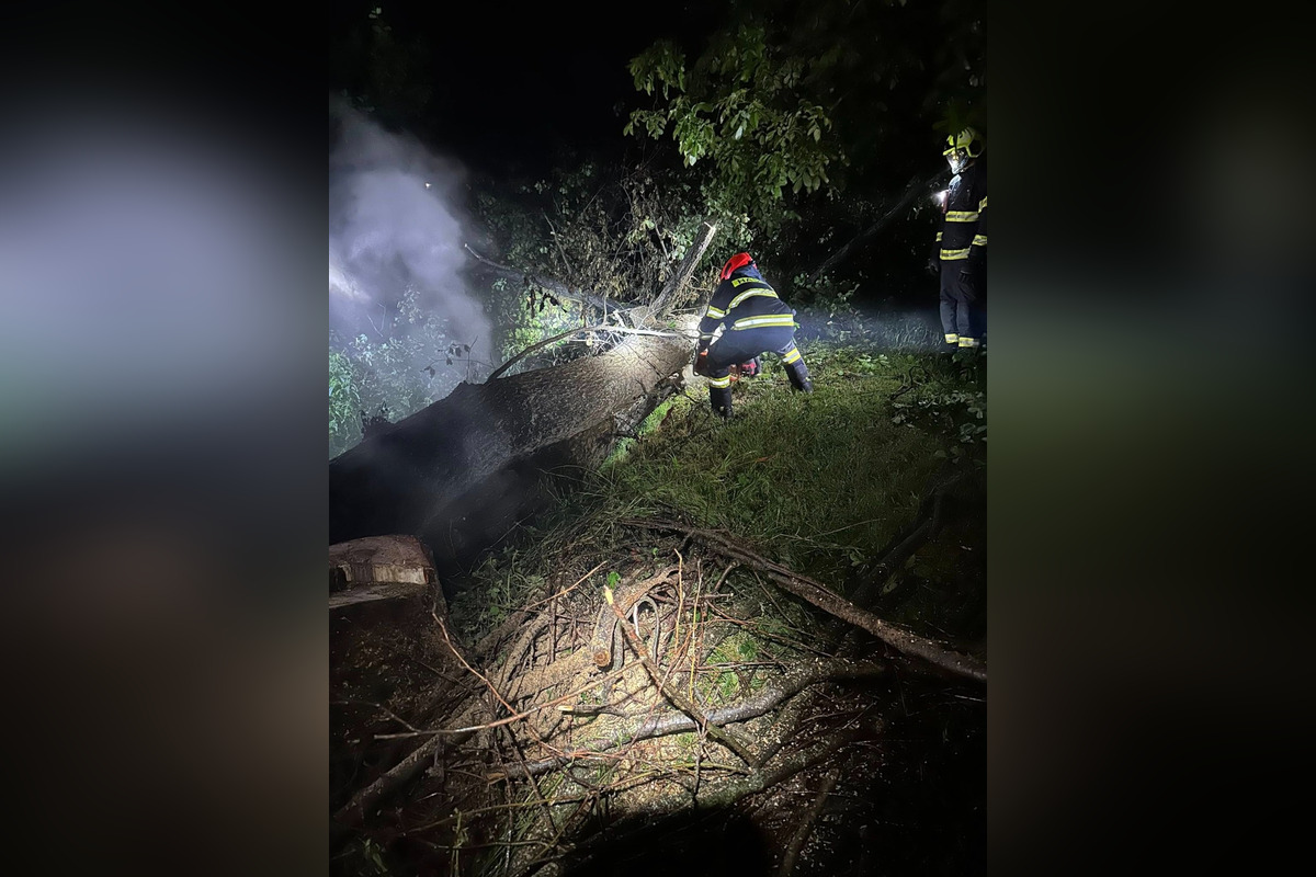 FOTO: Po údere blesku v noci horel strom aj náradie v Nedožeroch-Brezanoch, hasiči museli strom spíliť, foto 5