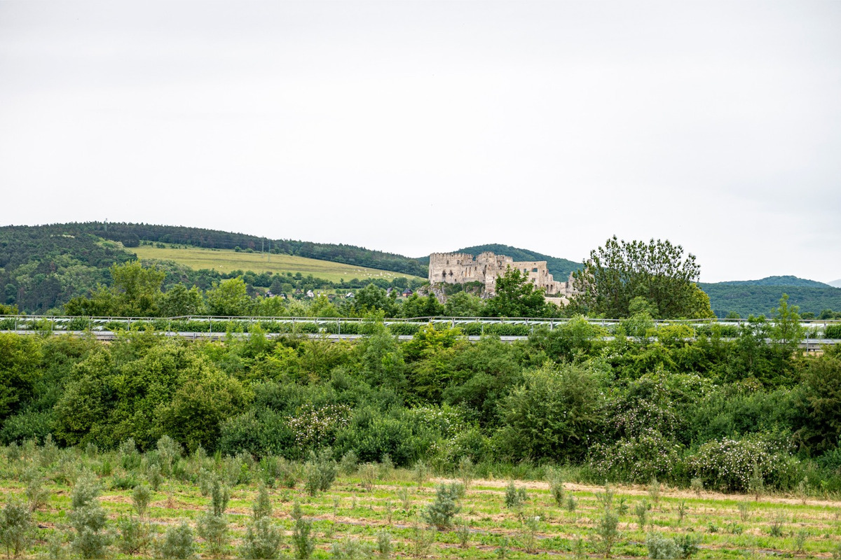 FOTO: Z Beckova až na Vážsku cyklomagistrálu, začala sa výstavba 6-kilometrového úseku, foto 6