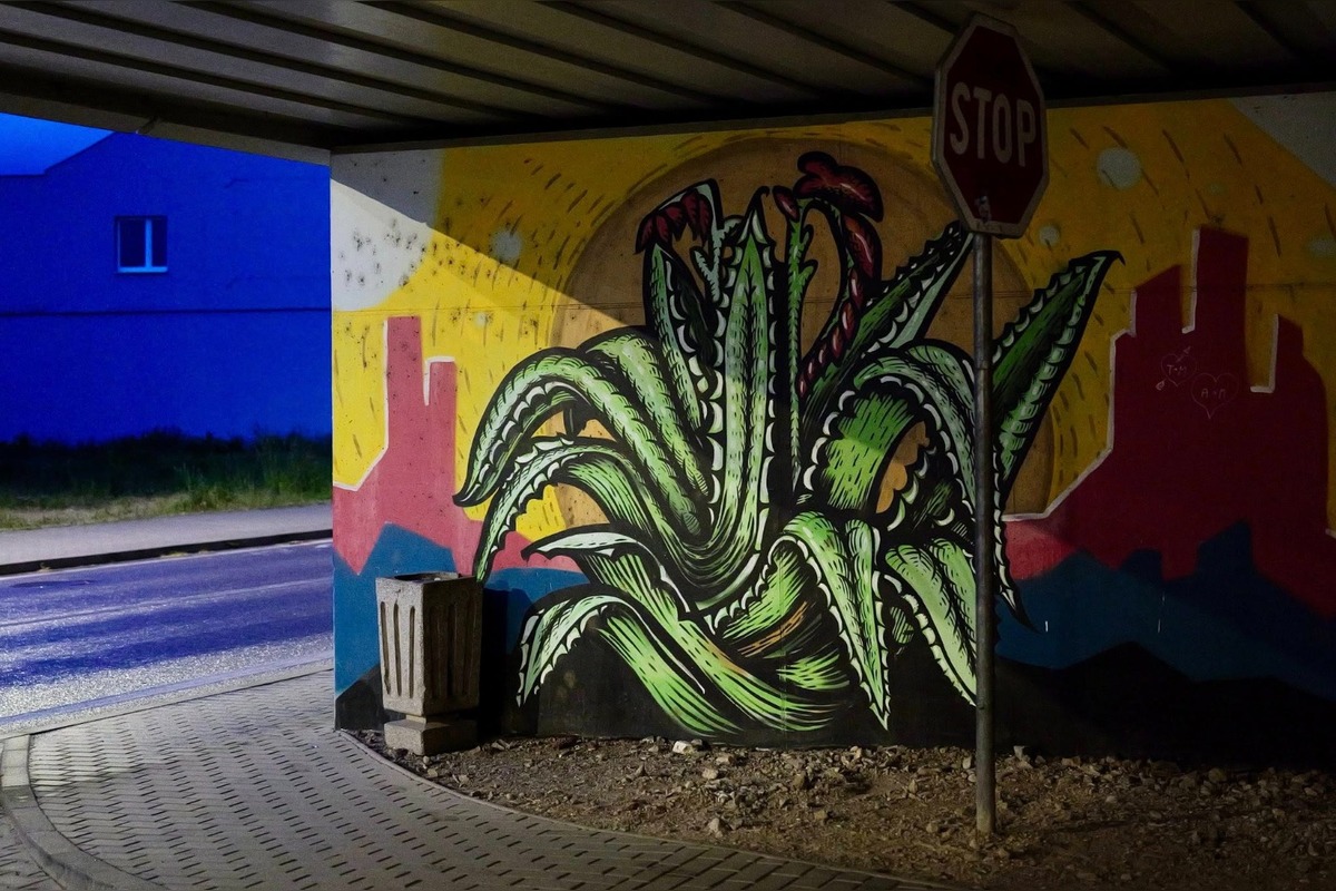 FOTO: Na Novinách v Trenčíne rozkvitlo umenie. Obyvatelia obdivujú nové murály v podchode aj na bytovke, foto 4
