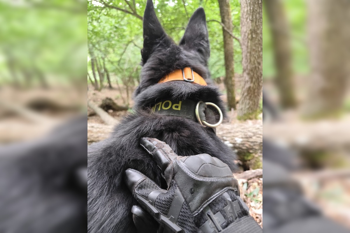 FOTO: Po Miroslavovi z Bánoviec pátrajú už dva týždne, Naposledy ho videli v Miezgovciach, foto 2