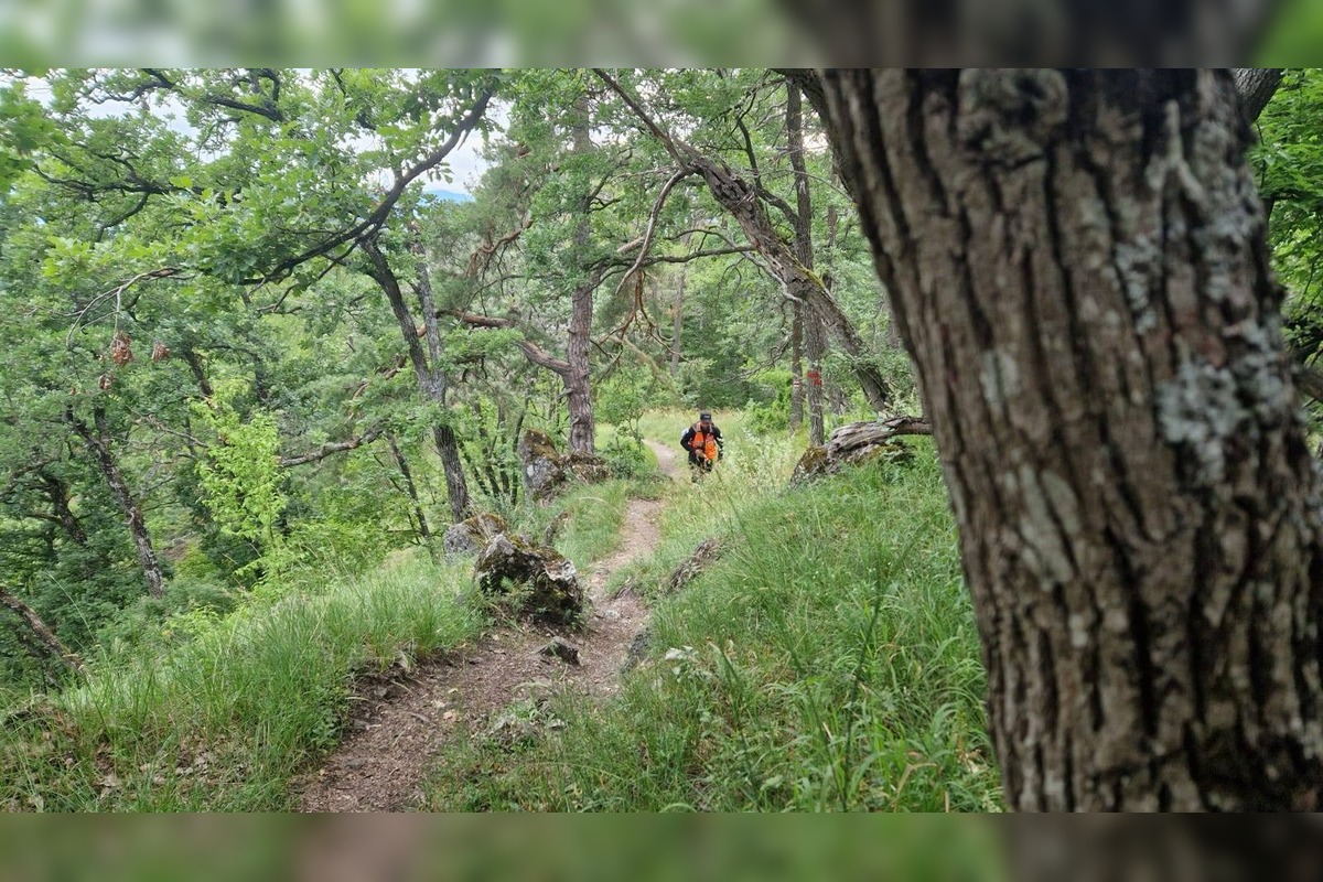 FOTO: Po Miroslavovi z Bánoviec pátrajú už dva týždne, Naposledy ho videli v Miezgovciach, foto 3