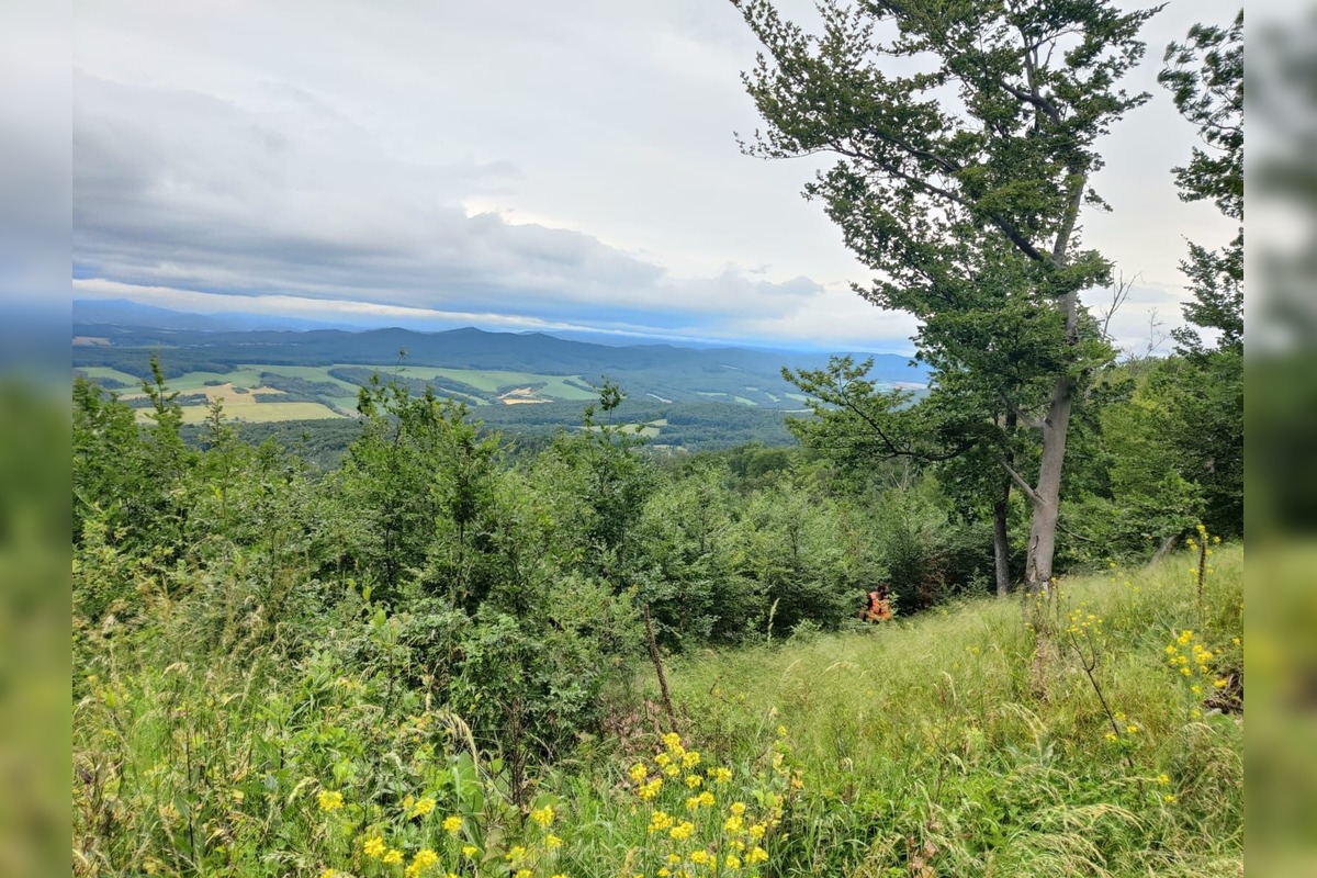 FOTO: Po Miroslavovi z Bánoviec pátrajú už dva týždne, Naposledy ho videli v Miezgovciach, foto 14