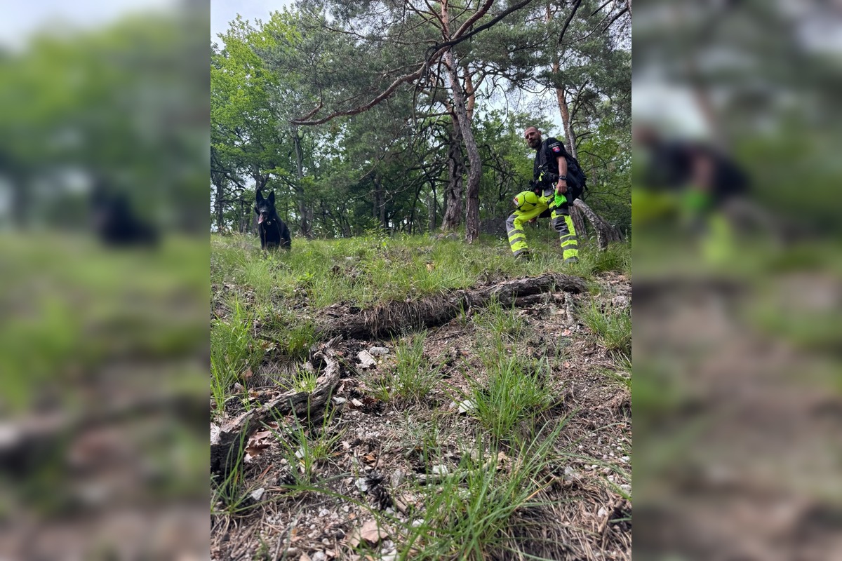 FOTO: Po Miroslavovi z Bánoviec pátrajú už dva týždne, Naposledy ho videli v Miezgovciach, foto 15