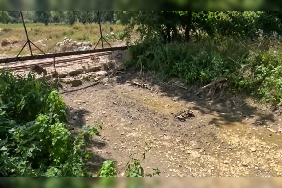 FOTO: V okrese Púchov pristúpili kvôli suchu ku výlovu rýb , foto 2