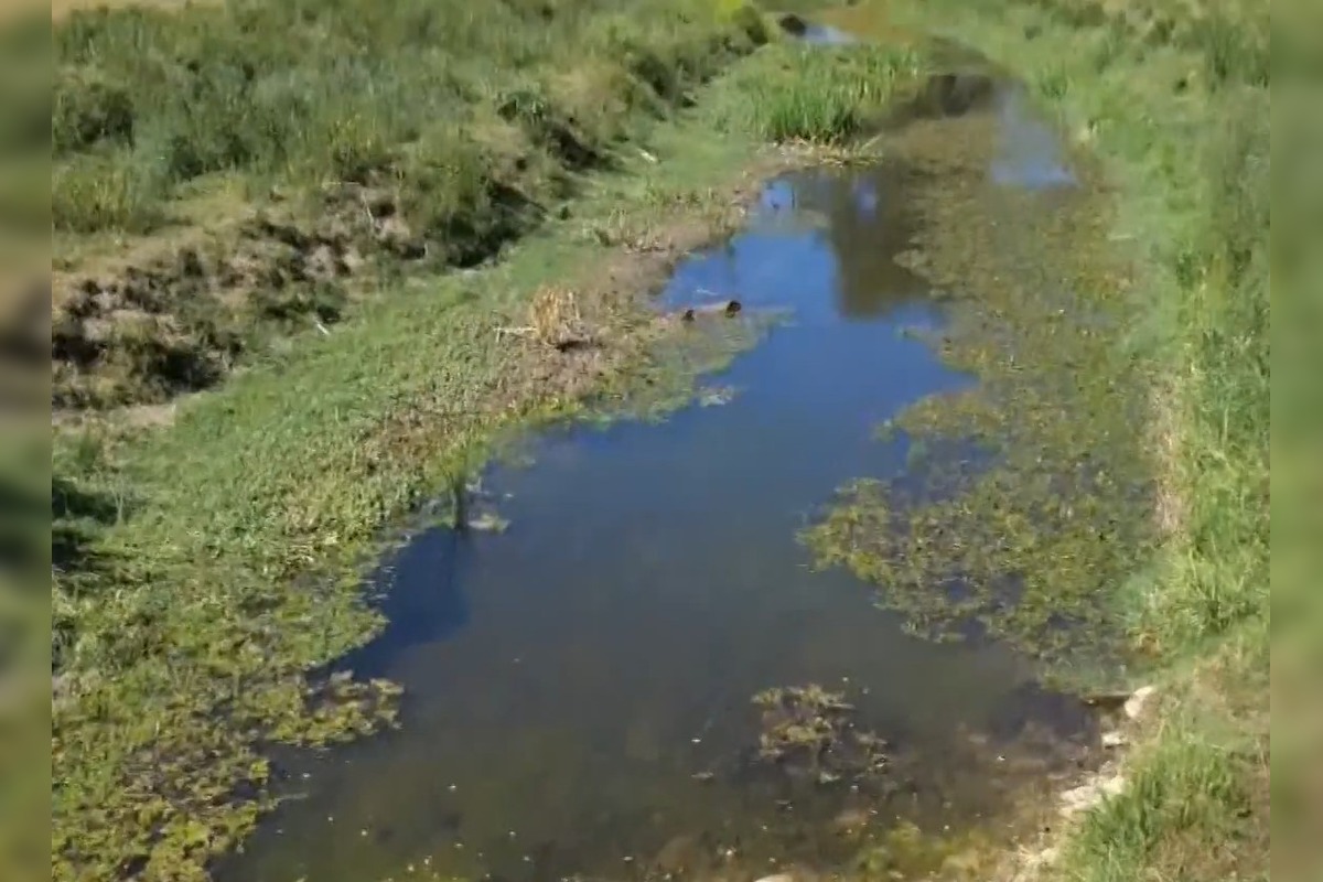 FOTO: V okrese Púchov pristúpili kvôli suchu ku výlovu rýb , foto 3